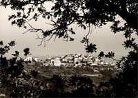 Panorama