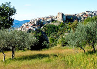 Panorama