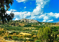 Panorama