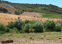 Panorama Stignano mare